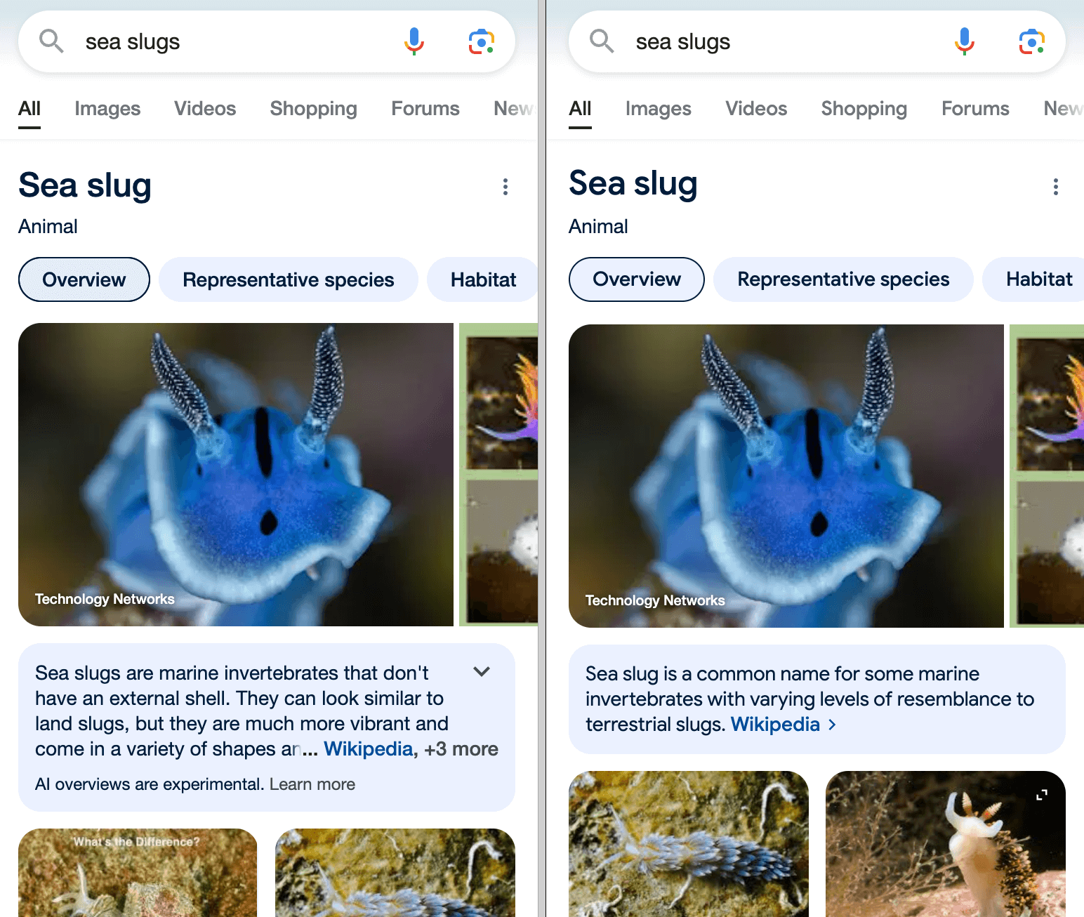 SERPs antes y después AI